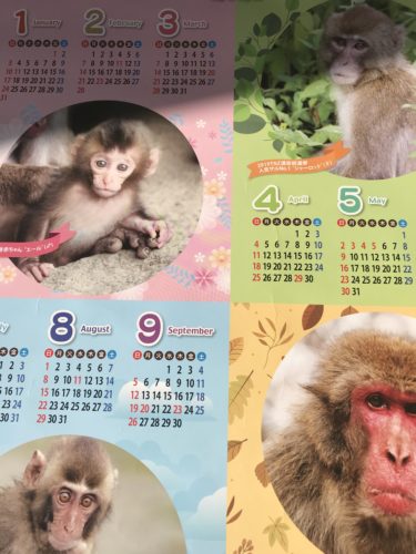 期末テストが終わり・・・