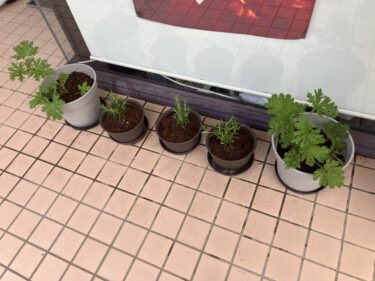 中間テスト対策